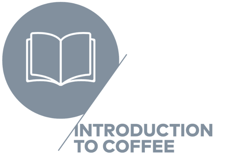 Introduction to Coffee